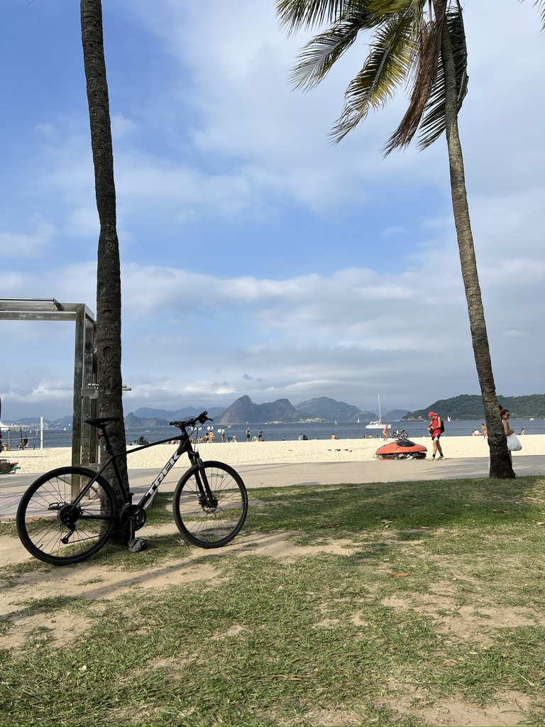 Neighbors bike park as they take a swim.