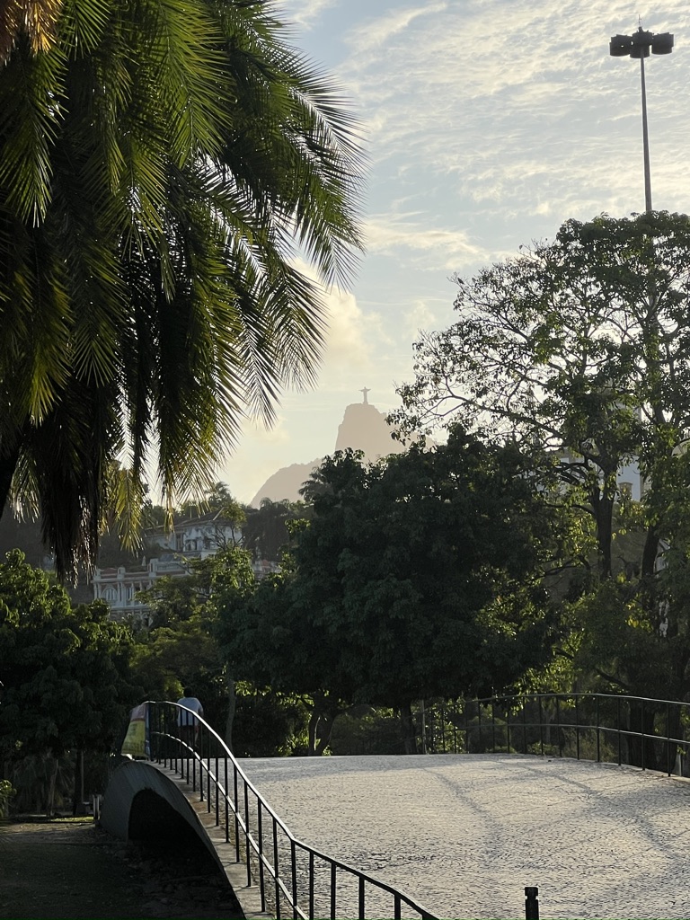 Corcovado through the palms, early light over the park.