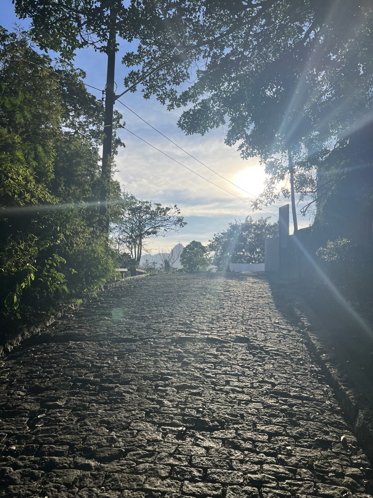 Cobblestone trail climbing toward a burst of sunlight through the trees