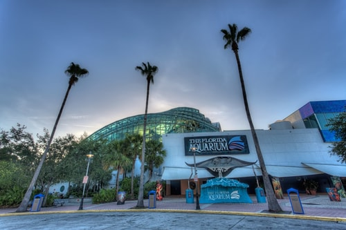 The Florida Aquarium, palms leaning over the channelside walk.