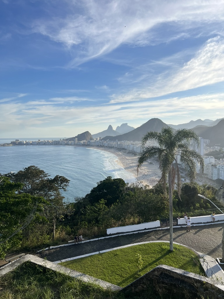 Copacabana bay panorama framed by a palm from the overlook