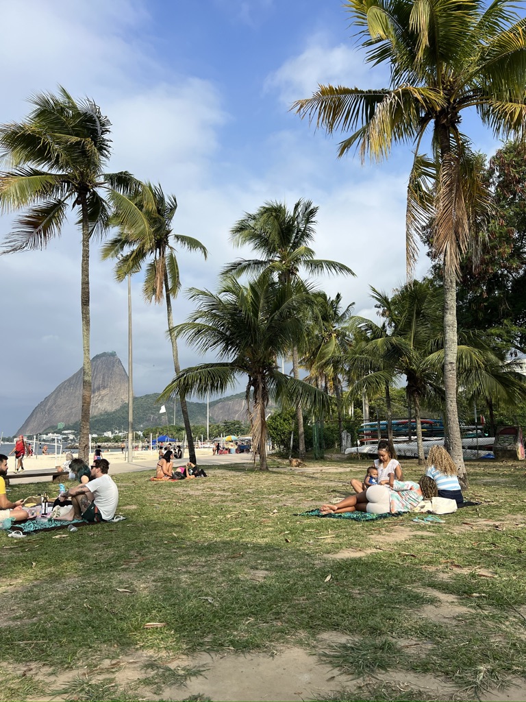 Afternoon on the grass, families settled in under the palms.